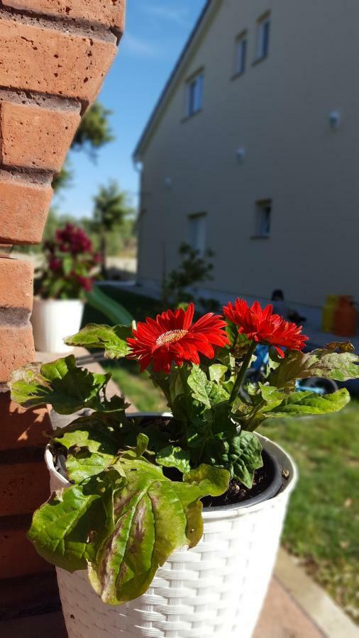 Apartmani "Sandro" Gonar Rab Town Exterior photo